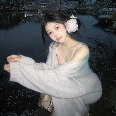 拜访小屋海报